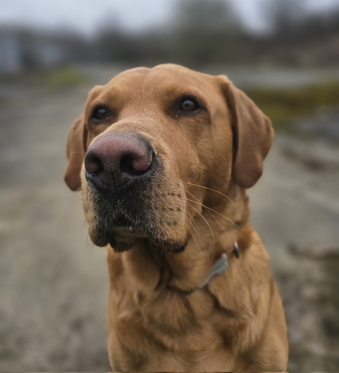 Glenn Martin tweet media