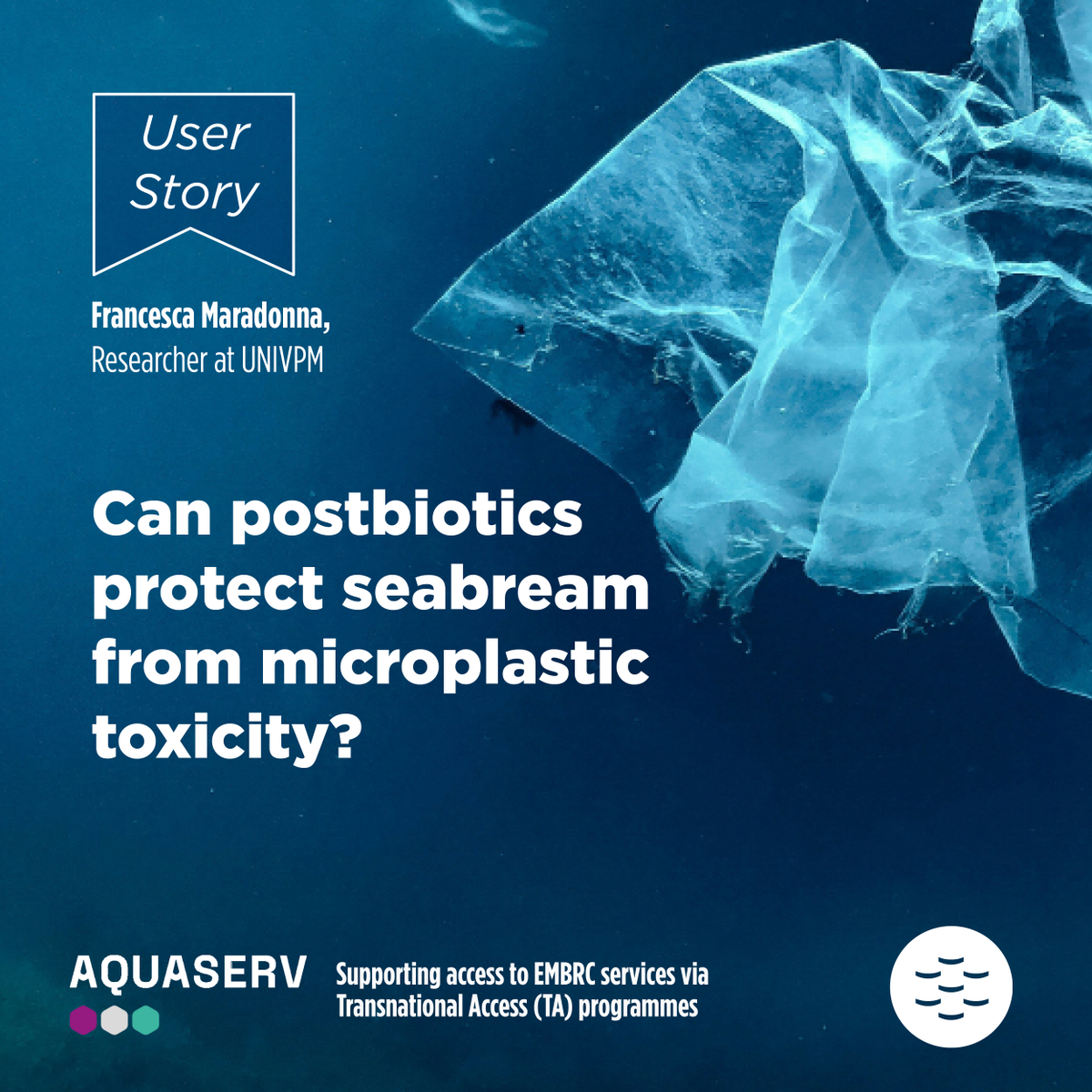 EMBRC_EU's tweet image. ❓What happens when logistics prevent scientists from conducting research at their own institution? 

👉 Transnational Access programmes offer access to top facilities at no cost

See how this helped F Maradonna's (@UnivPoliMarche) research on #Plastic toxicity in #Seabream: