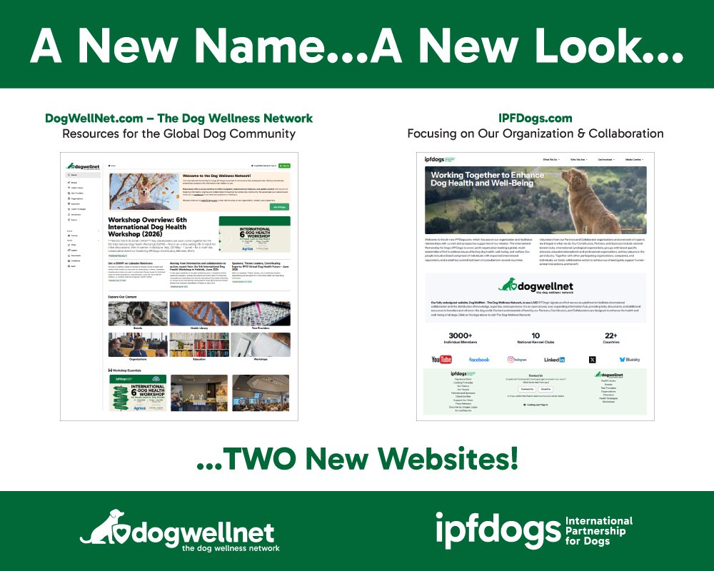 The International Partnership for Dogs (IPFDogs) tweet media