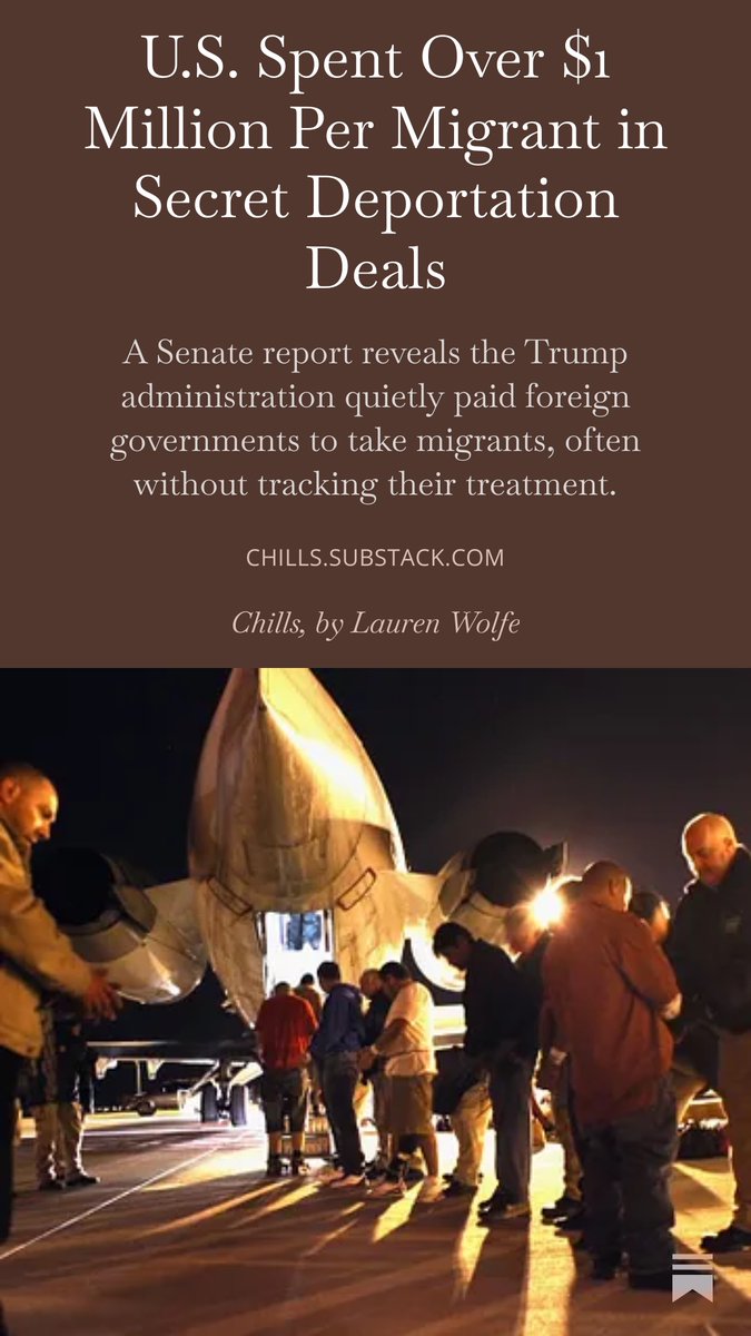 Lauren Wolfe tweet media