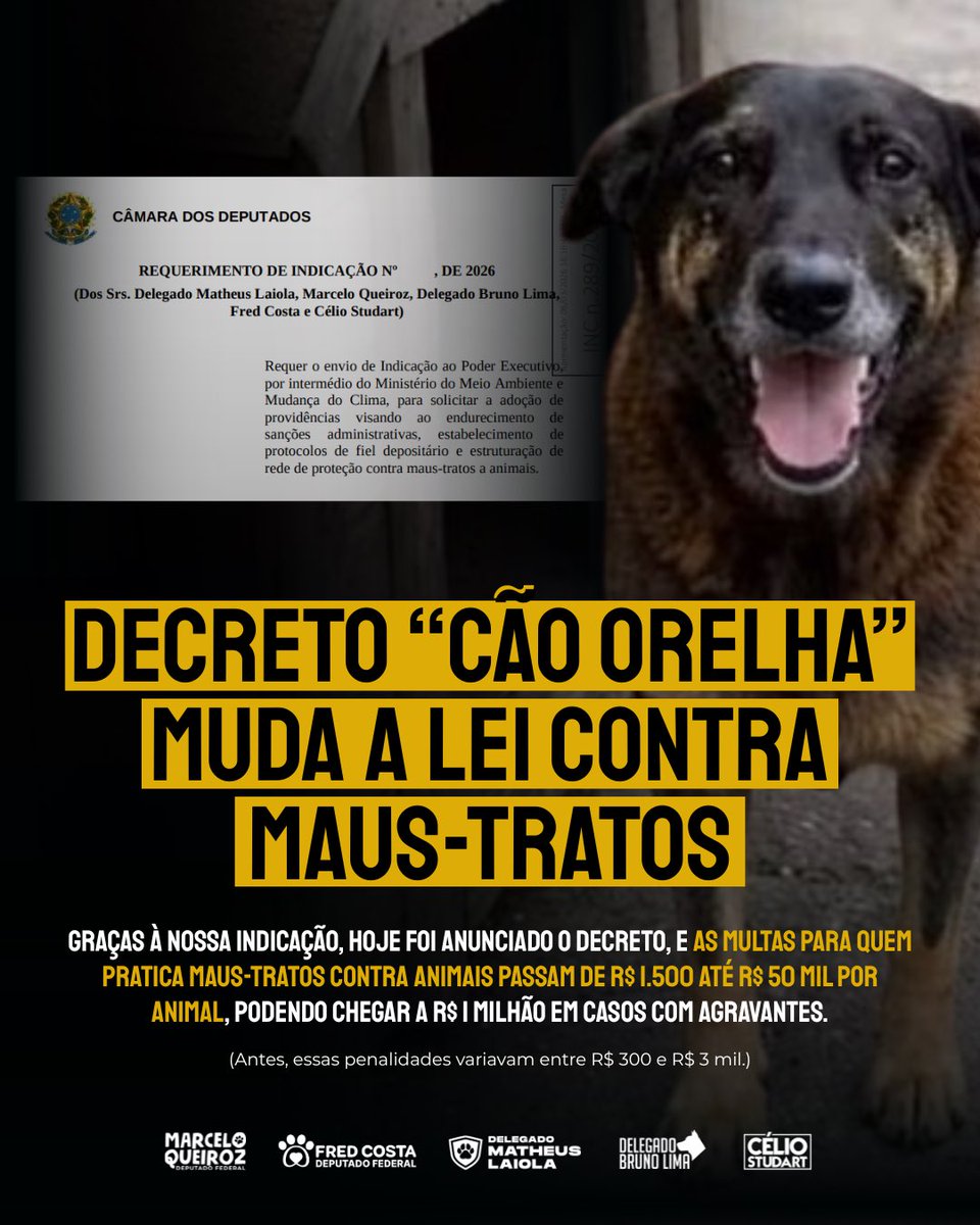 MatheusLaiola's tweet photo. 🚨 O caso Orelha trouxe mudanças!

Foi anunciado o Decreto Cão Orelha, que endurece as punições para maus-tratos contra animais no Brasil.

As multas agora vão de R$ 1.500 a R$ 50 mil por animal, podendo chegar a R$ 1 milhão em casos graves. Também há agravantes para morte, abandono, crueldade e reincidência. A medida fortalece a proteção animal e transforma indignação em ação por justiça. 🐶⚖️

Você também está feliz com essa vitória?