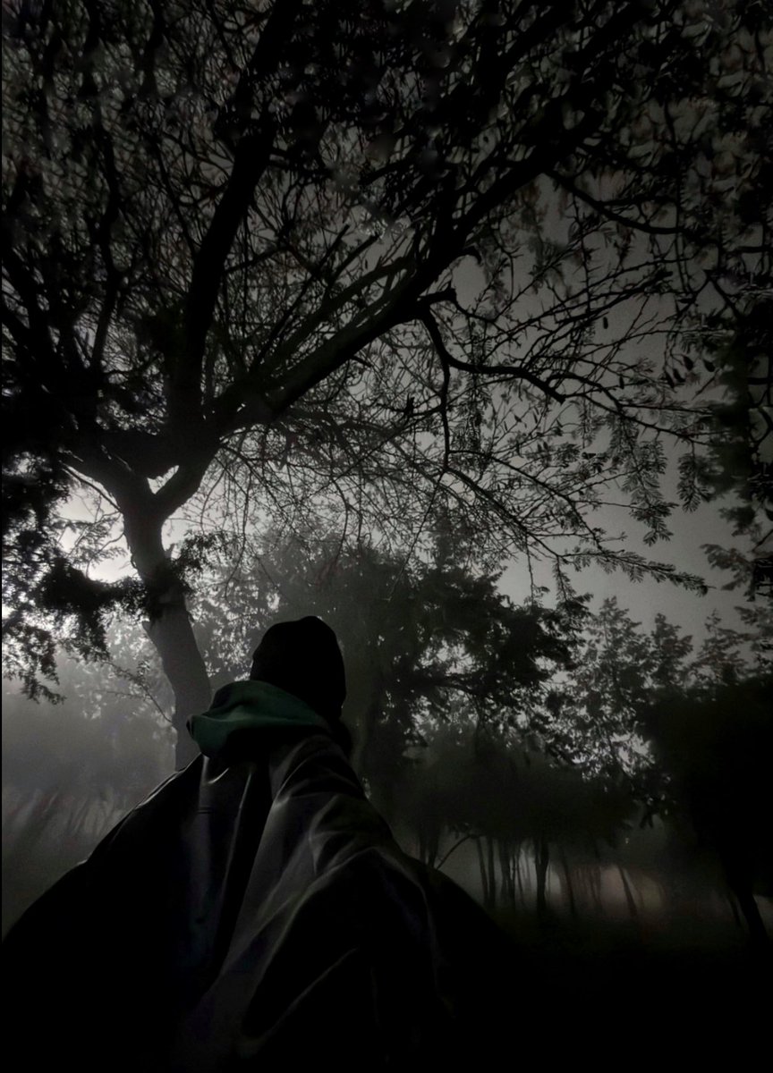 9 (@llilx1l) on Twitter photo 