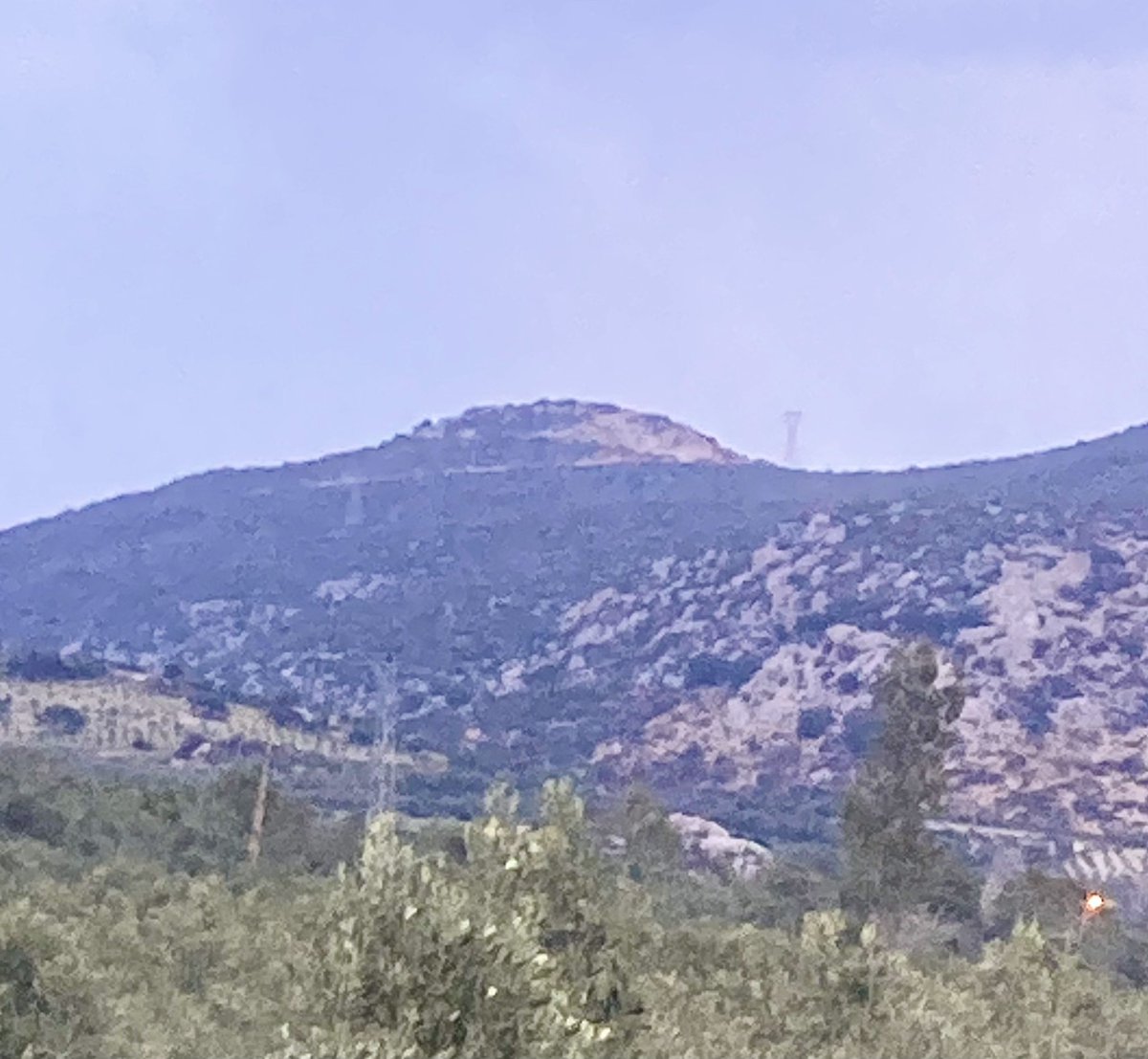 Mehmet Tülüce tweet media