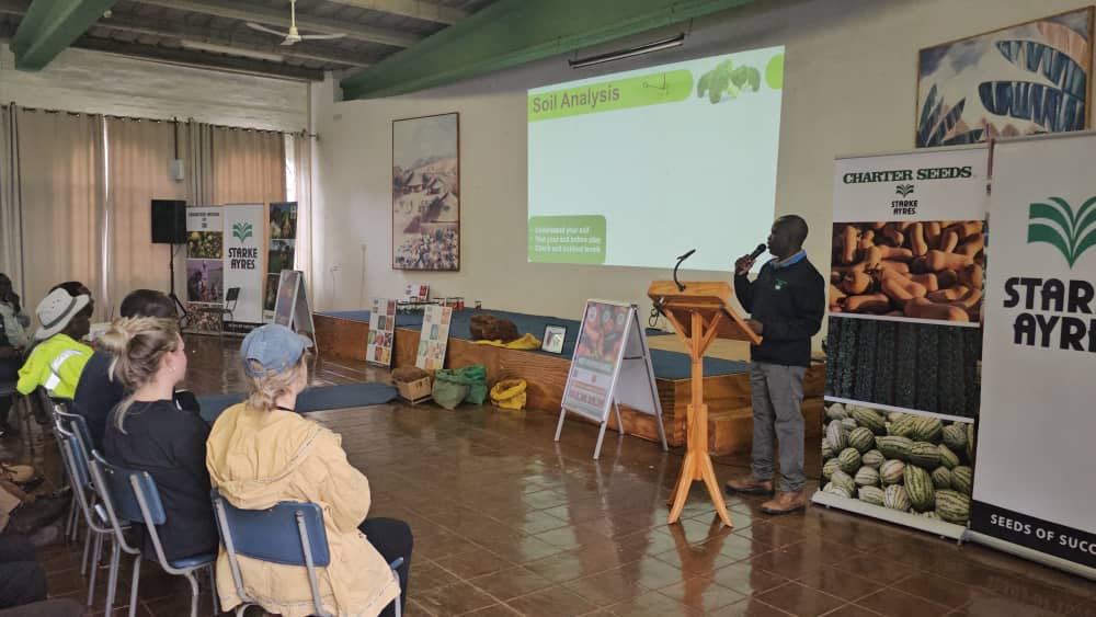 Divah Phiri tweet media