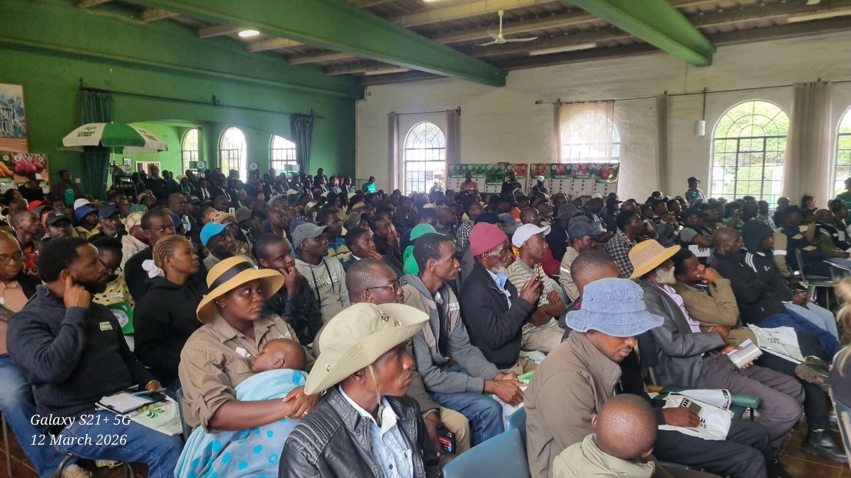 Divah Phiri tweet media