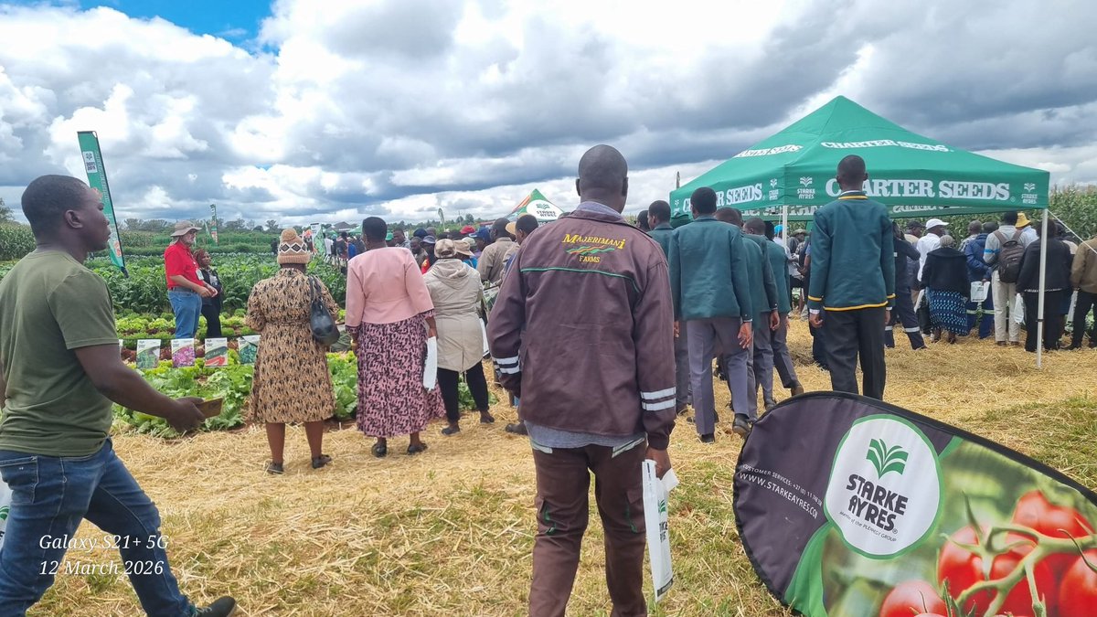 Divah Phiri tweet media