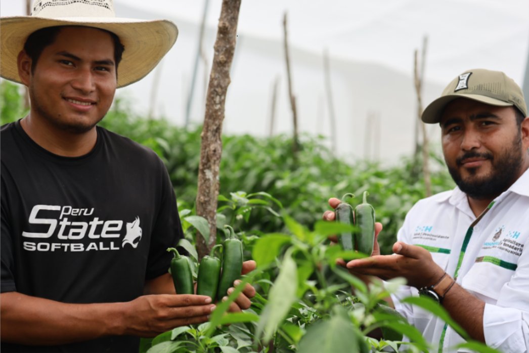 ACDI/VOCA tweet media