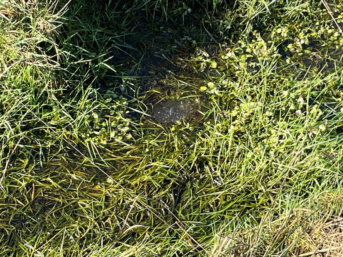 Coyle Environmental tweet media