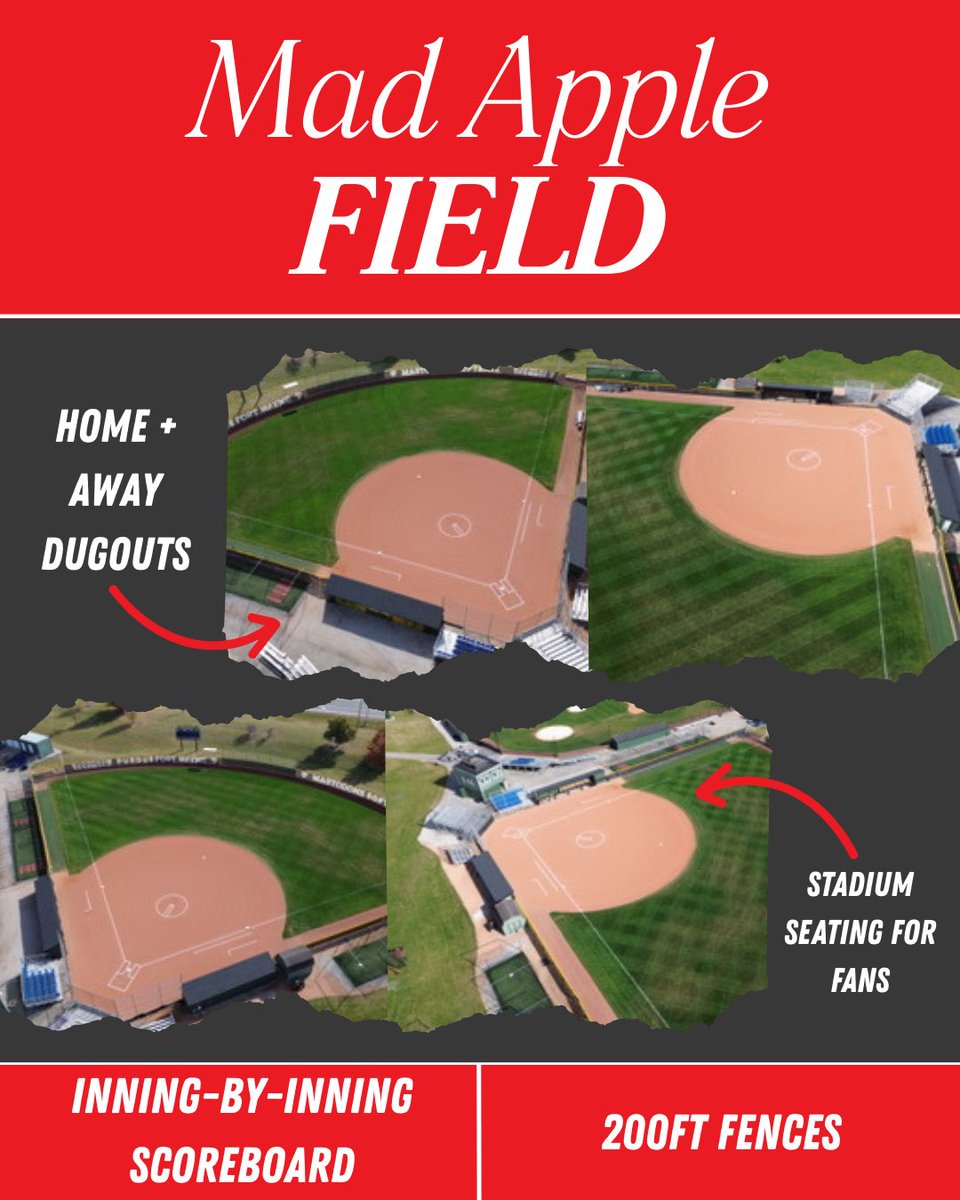 Mad Apple Softball tweet media