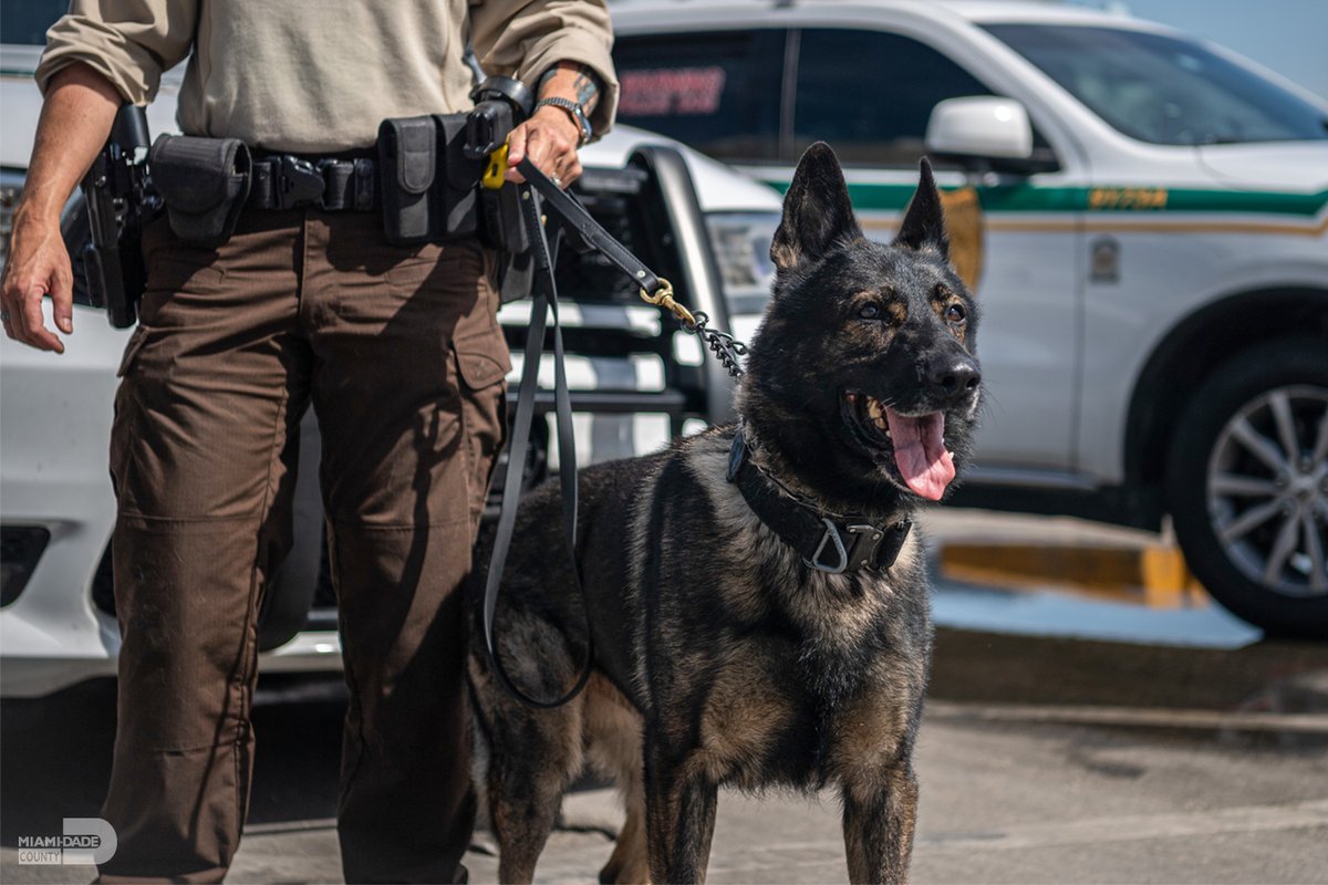 Miami-Dade County tweet media