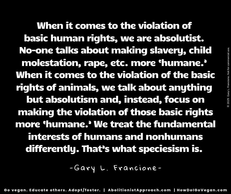 FreeFormLurk's tweet photo. @allie__voss That's how it has to be if selfish people want to continue consuming animals.

Their suffering is entirely on you. https://t.co/vCJSVbtwKA
