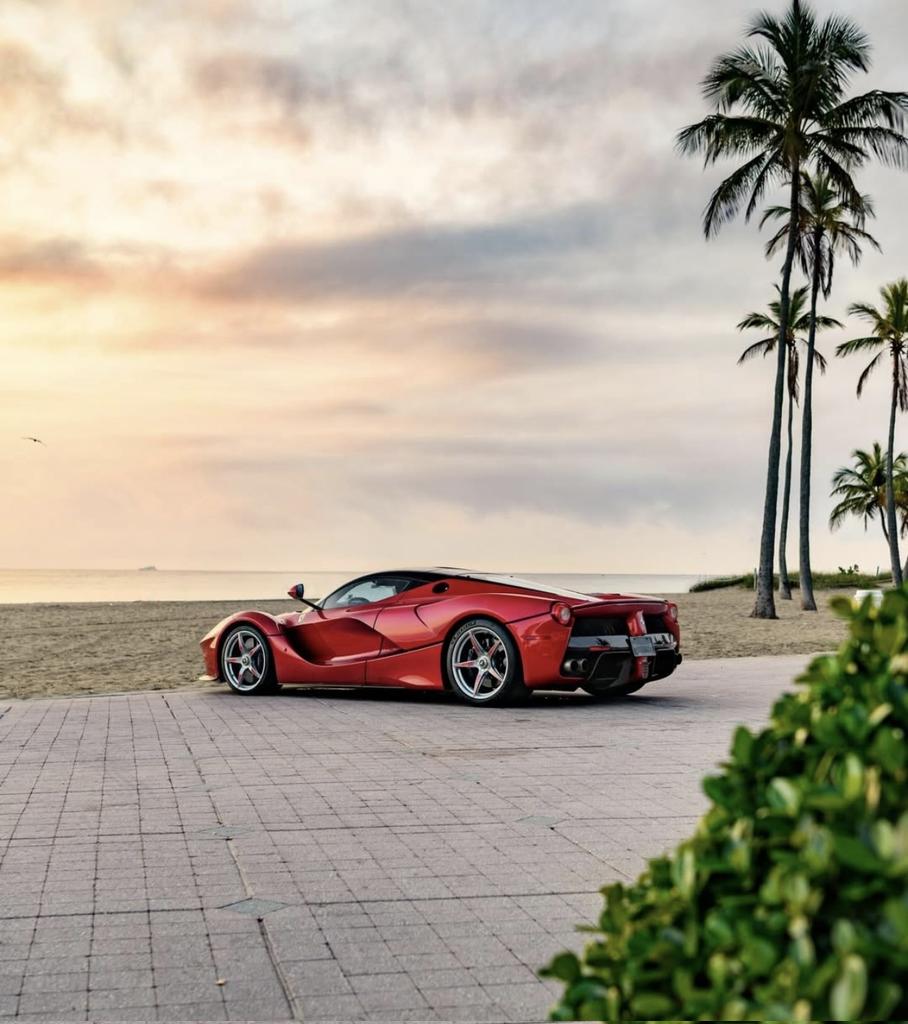 ๐ต๐๐๐๐๐๐ ๐ฟ๐๐๐ tweet media