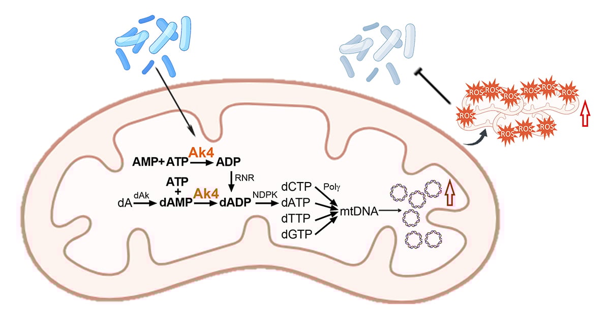 Journal of Experimental Medicine tweet media