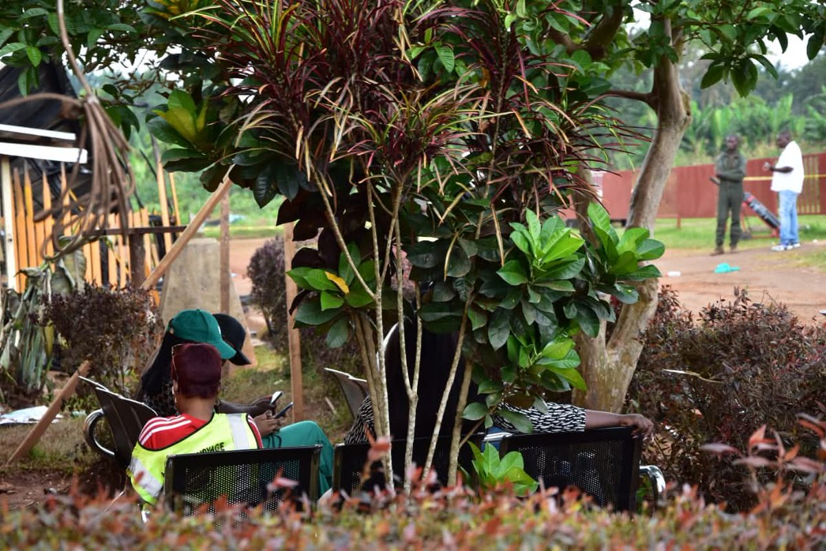 GeorgesKisando's tweet image. #Beni : Après l’incendie de l’aérogare de Mavivi, toutes les opérations de la #RVA (check-in, contrôle bagages, Go-pass) se font en plein air. 

Le commandant annonce une réunion technique ce jeudi pour planifier la reconstruction avec le soutien du gouvernement provincial.
