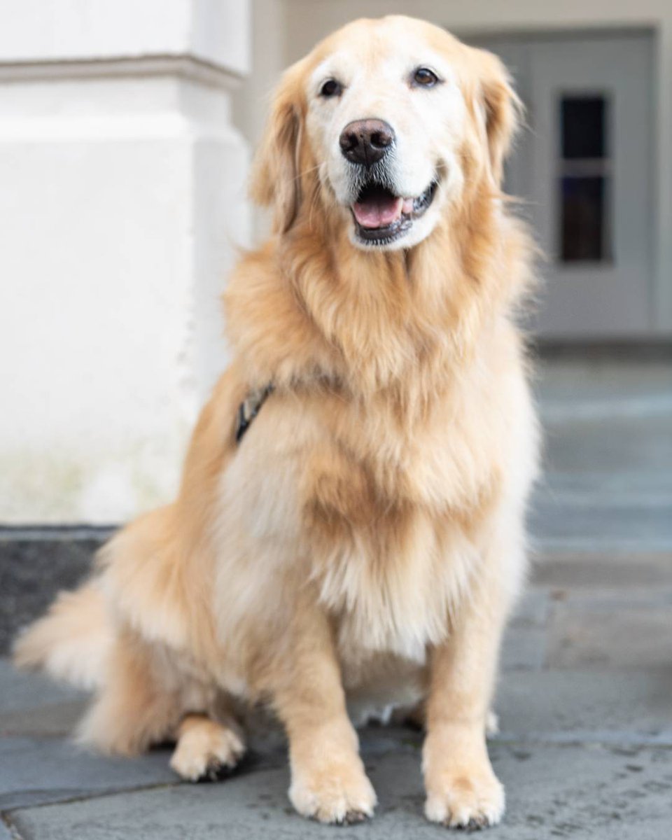 MUSC Health tweet media