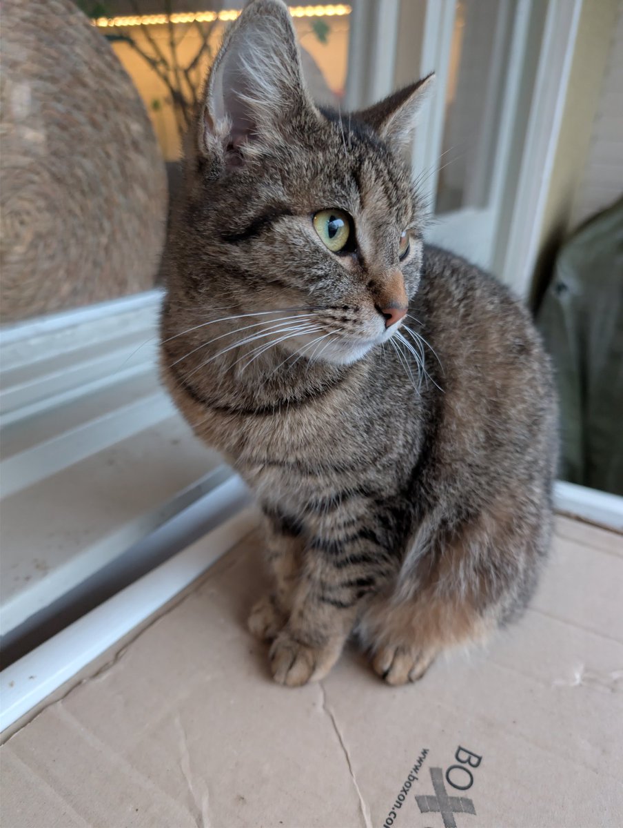 Anders Hagman tweet media