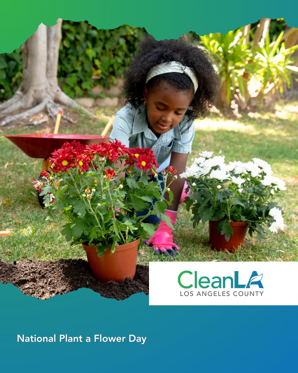 Clean LA tweet media