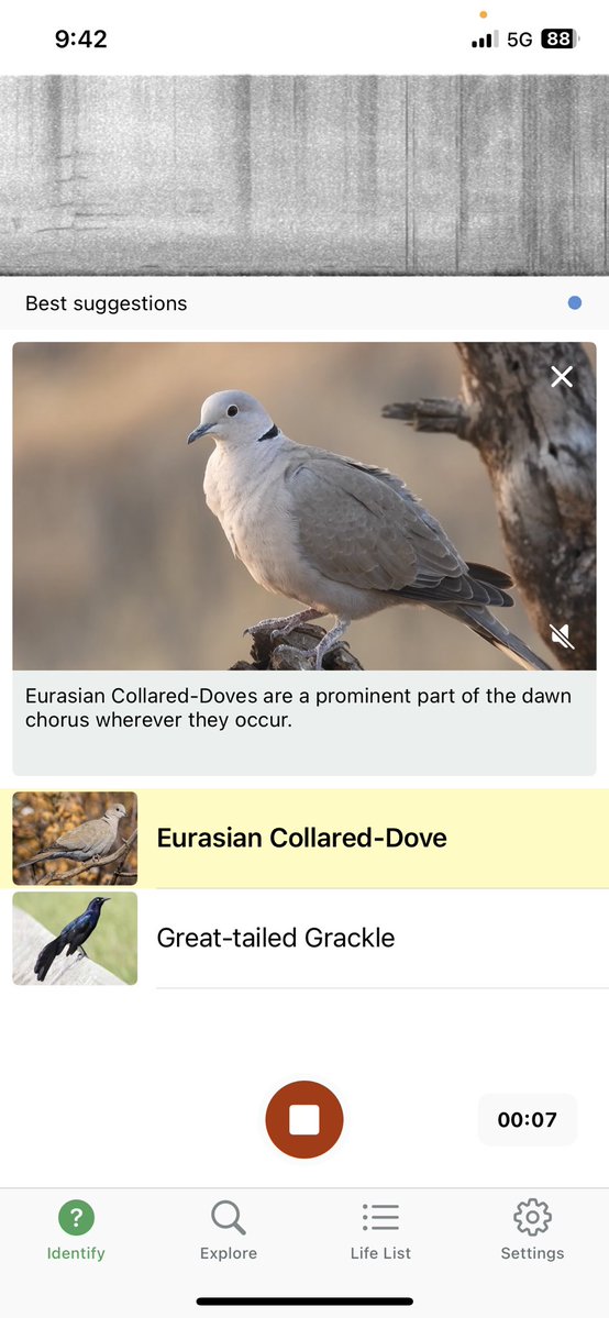 Roxanne Modafferi tweet media