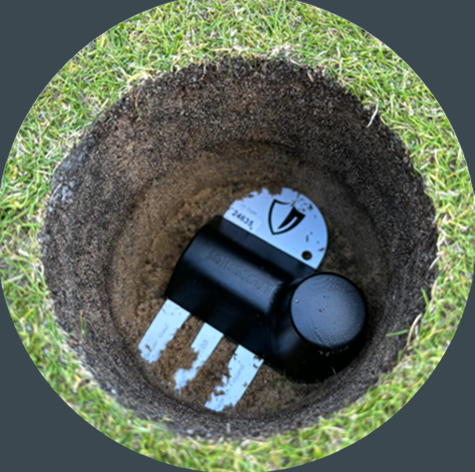 Bernhard and Company tweet media