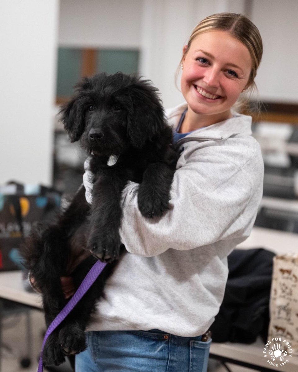 4 Paws For Ability tweet media