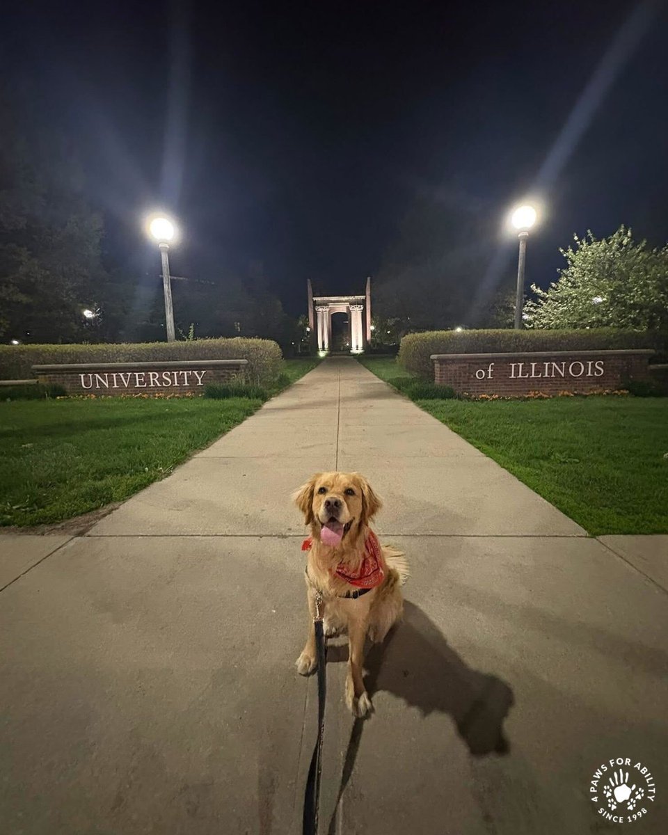 4 Paws For Ability tweet media