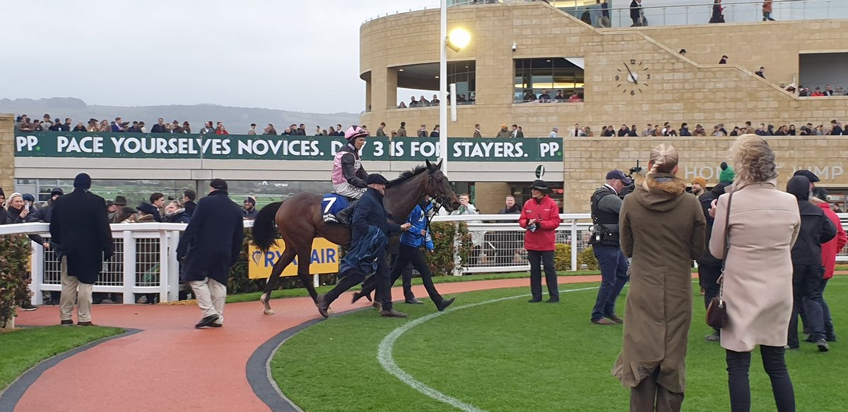 SportsNewsIRELAND tweet media