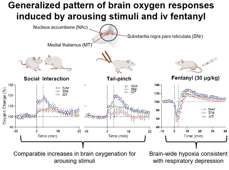 AJP-Regulatory, Integrative Comparative Physiology tweet media