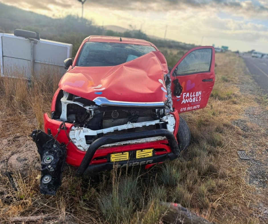 Network For Animals 🐾 tweet media