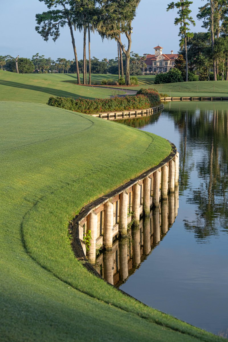 AquaFuse tweet media