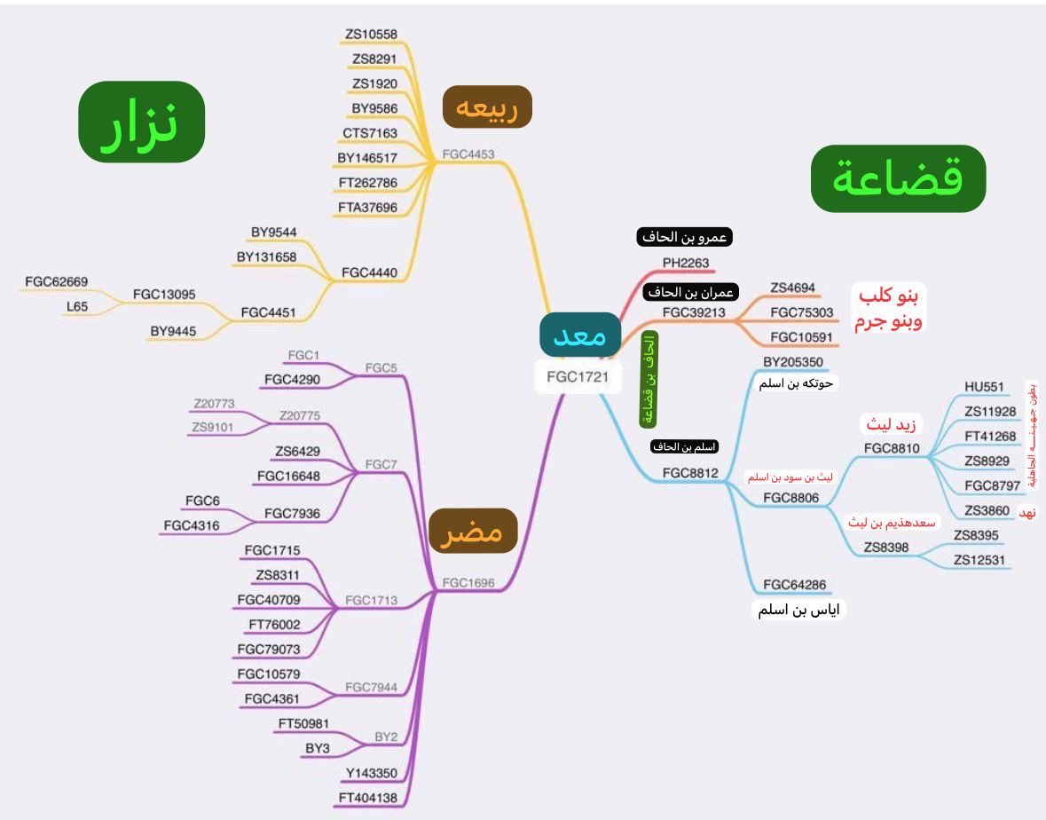 عبدالله بن منصور tweet media