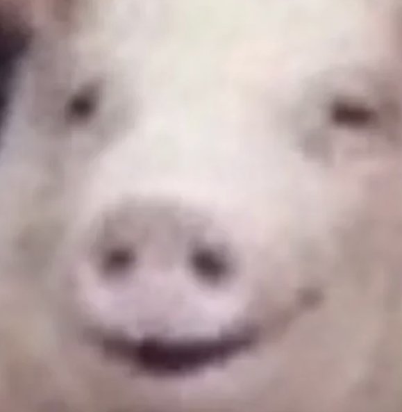 Сумний і волохатий tweet media