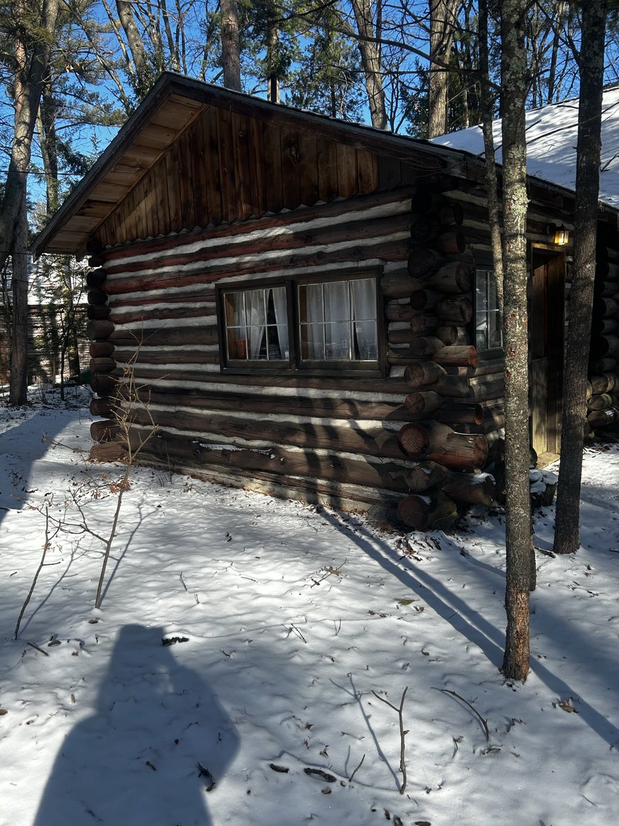 The Bee Hive 🐝 tweet media