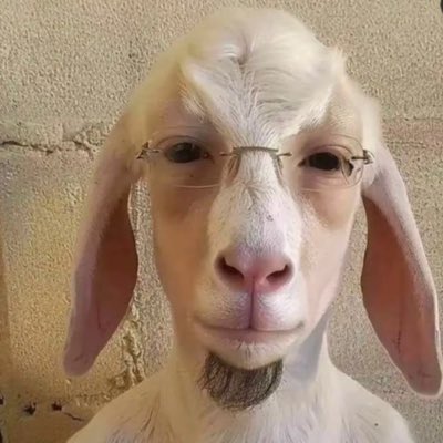 trynaholdmawood's tweet photo. #NewProfilePic https://t.co/E8r5VBPnml