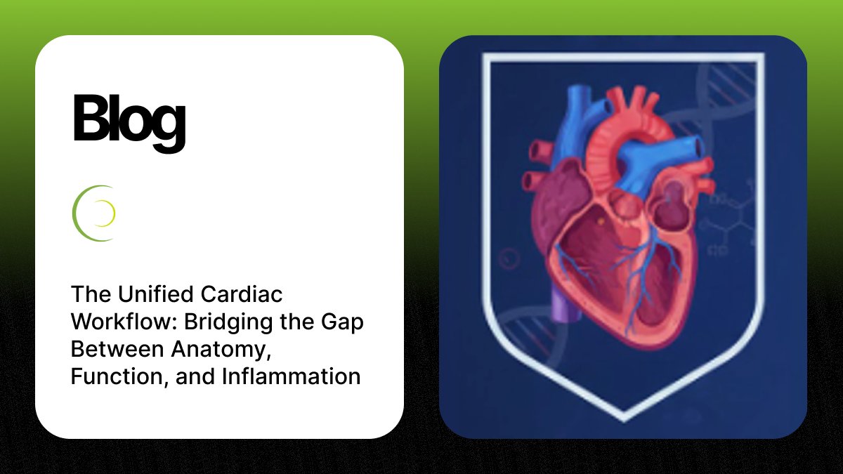 Circle Cardiovascular Imaging tweet media