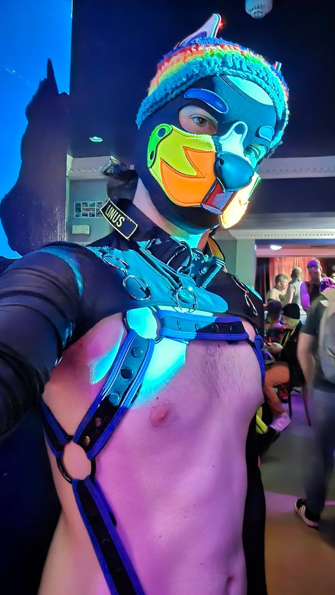 Linus🔙 🔜YUL/FE/CFZ tweet media