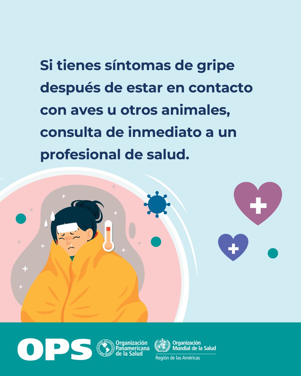 OPS/OMS Panamá tweet media