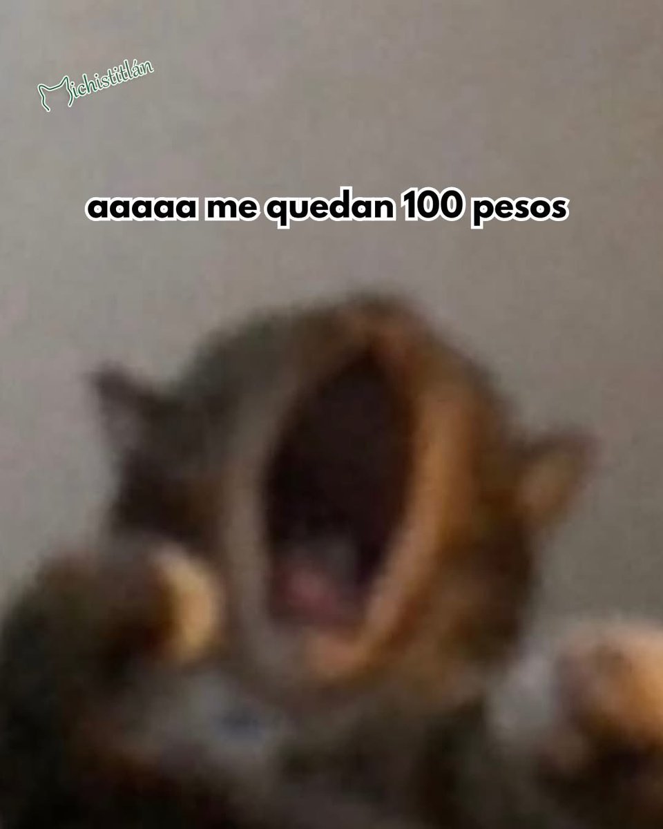 Jueves. Ya pagaron, ya pagué.