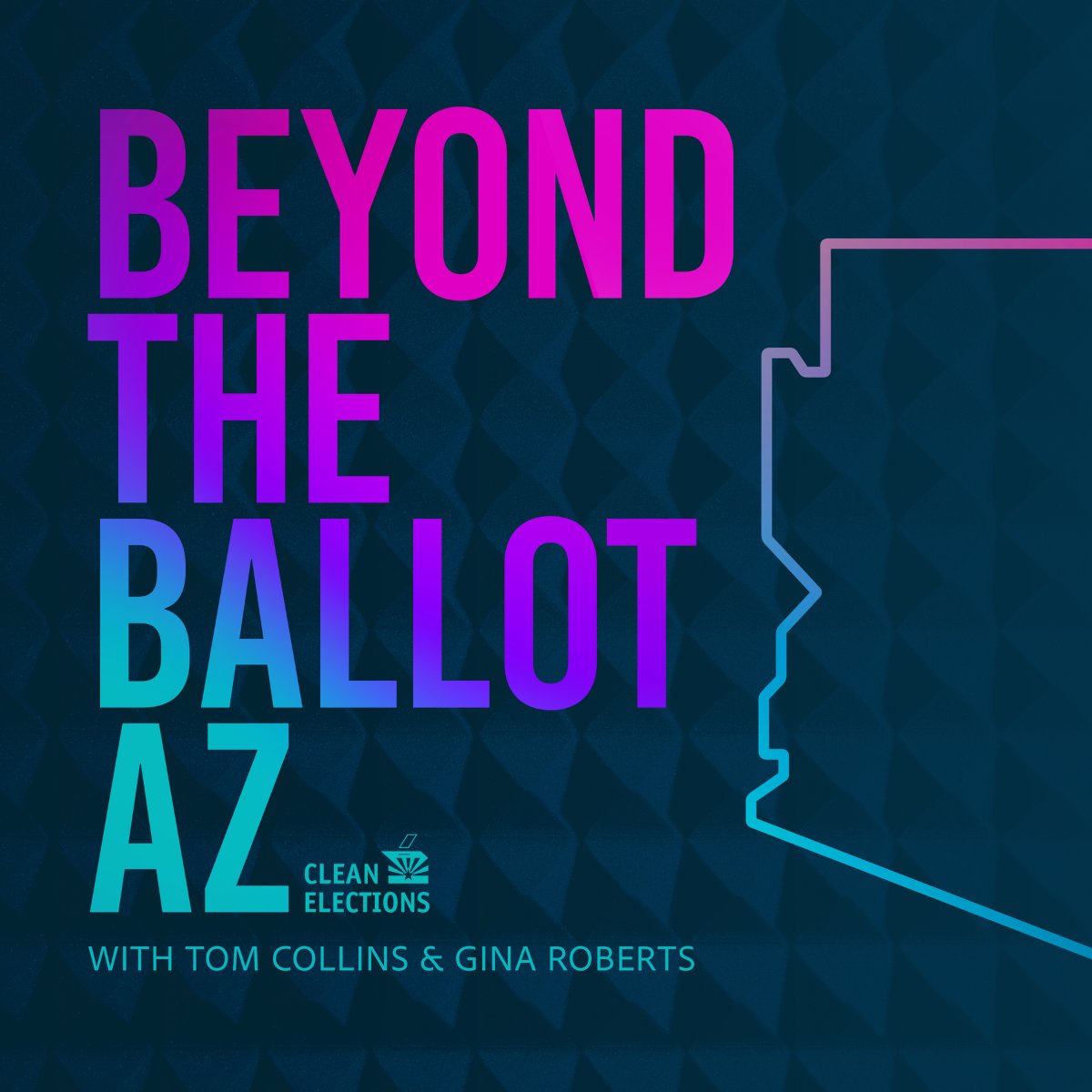 AdImpact Politics tweet media