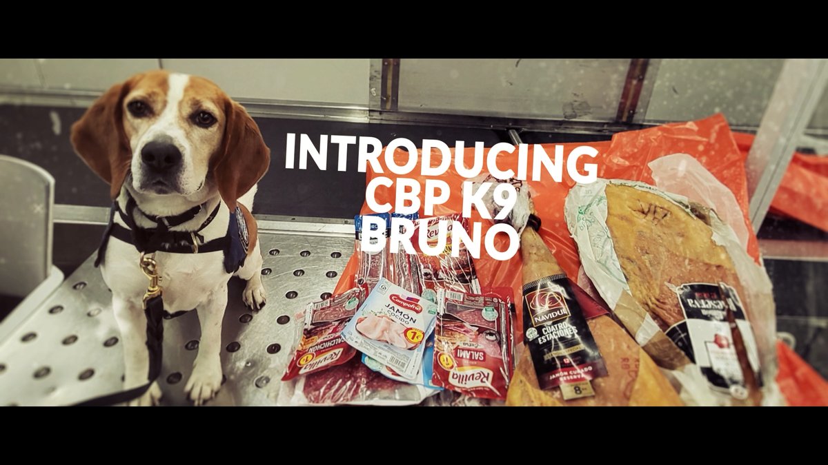 Director of Field Operations Chicago tweet media