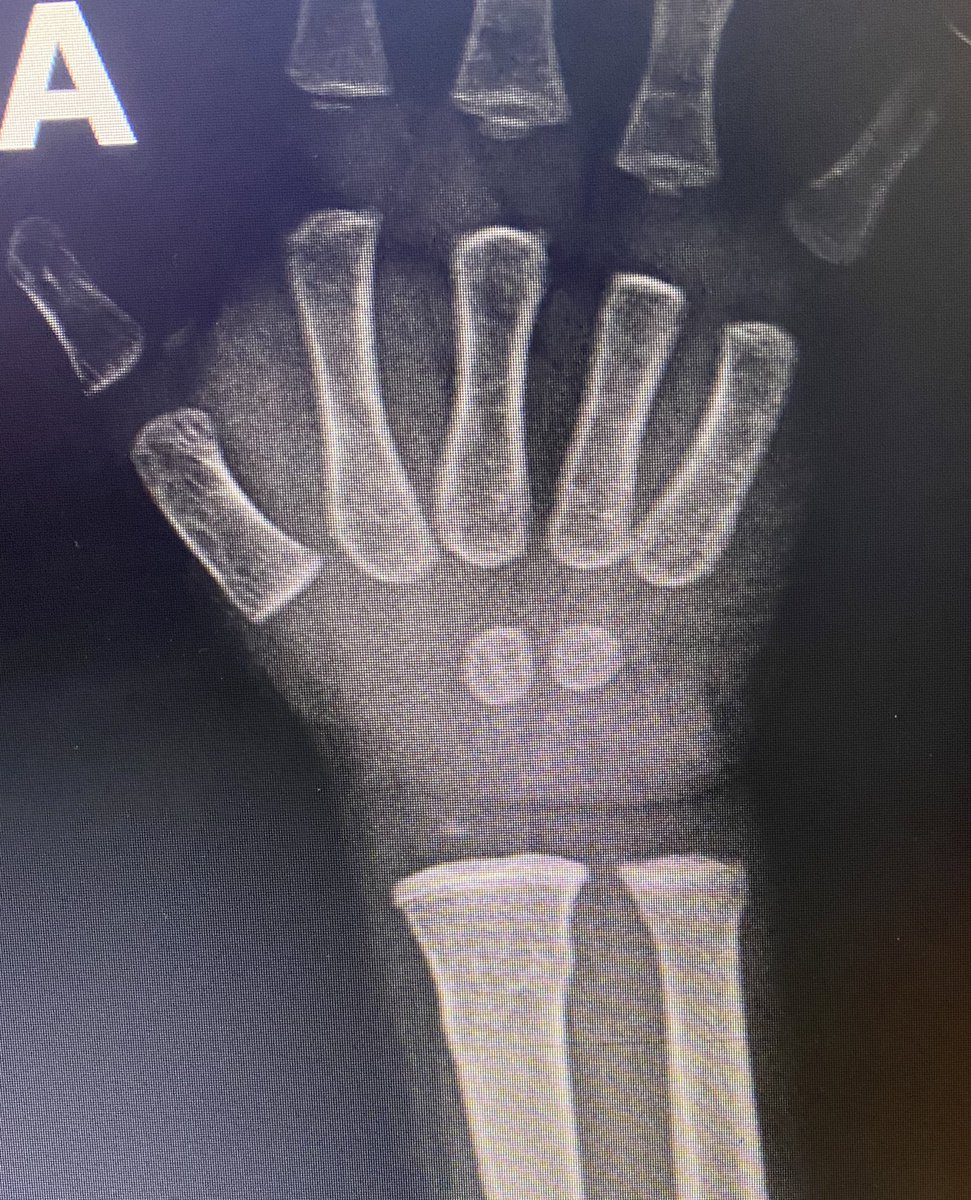 Laboratory photos tweet media