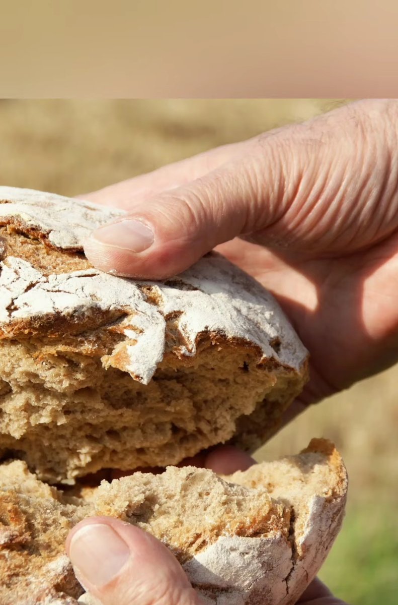 OzelotN86696's tweet image. Und Jesus sprach zu ihnen: Können etwa die Hochzeitsgäste trauern, solange der Bräutigam bei ihnen ist? Es werden aber Tage kommen, da der Bräutigam von ihnen weggenommen sein wird, und dann werden sie #fasten. 
Matthäus 9,15 | Elberfelder Bibel