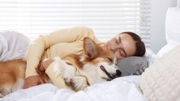 PeritoAnimal's tweet photo. O que dormir com o cachorro diz sobre a relação com o tutor? https://t.co/8NJTF02sjP #cachorros https://t.co/bIzp16UgFu