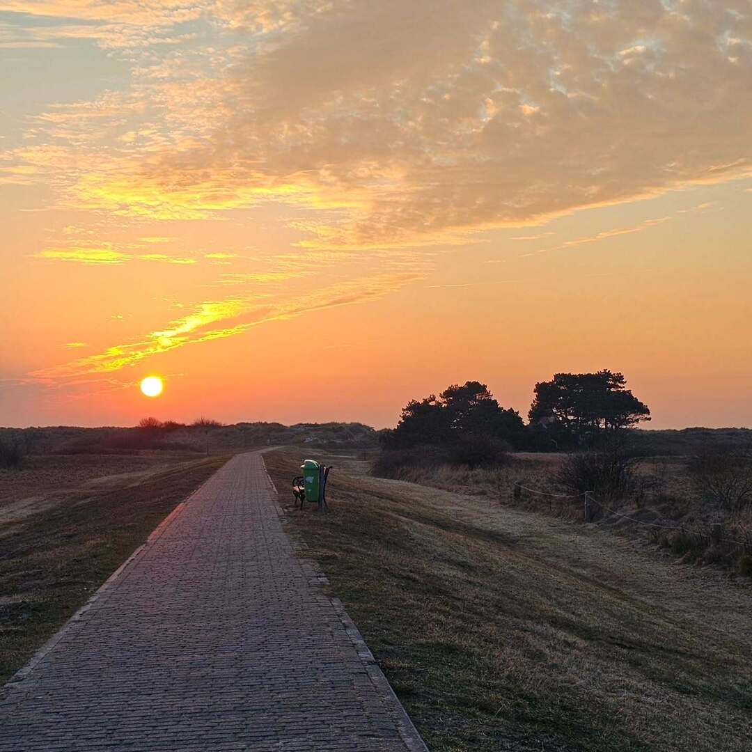 Hiddensee Forum tweet media