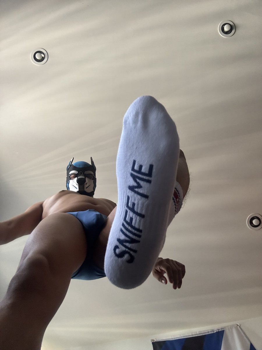 Axolo the Pup tweet media