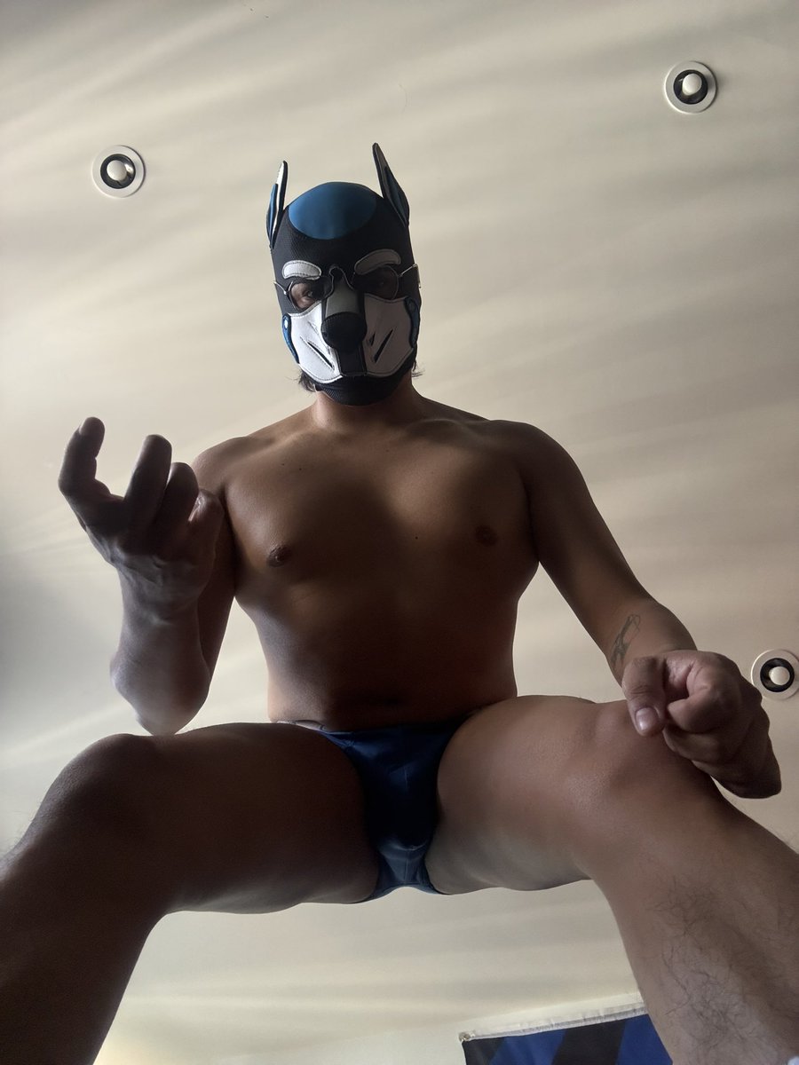 Axolo the Pup tweet media