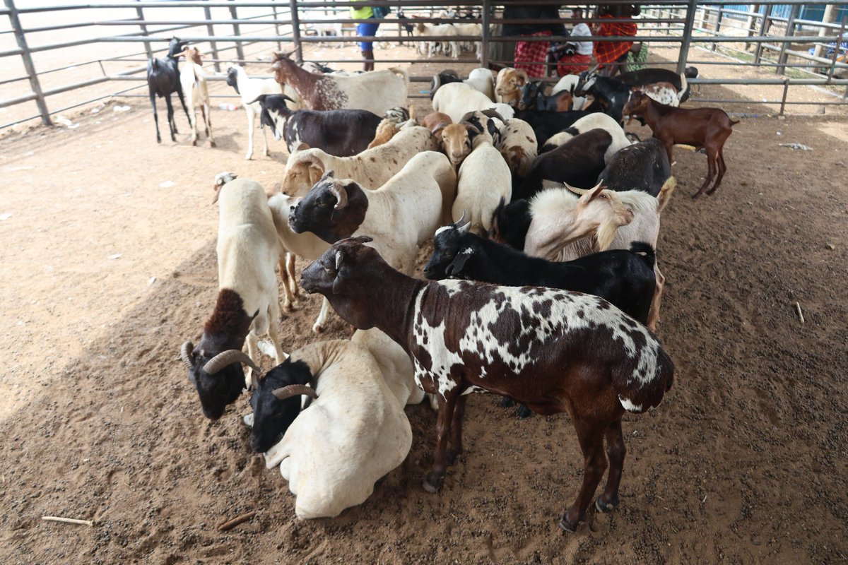 Uwezo Fund tweet media