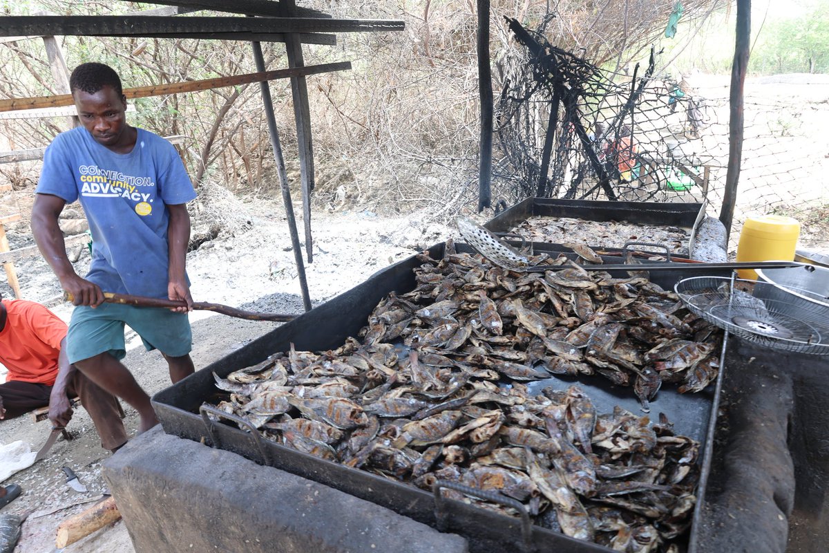 Uwezo Fund tweet media