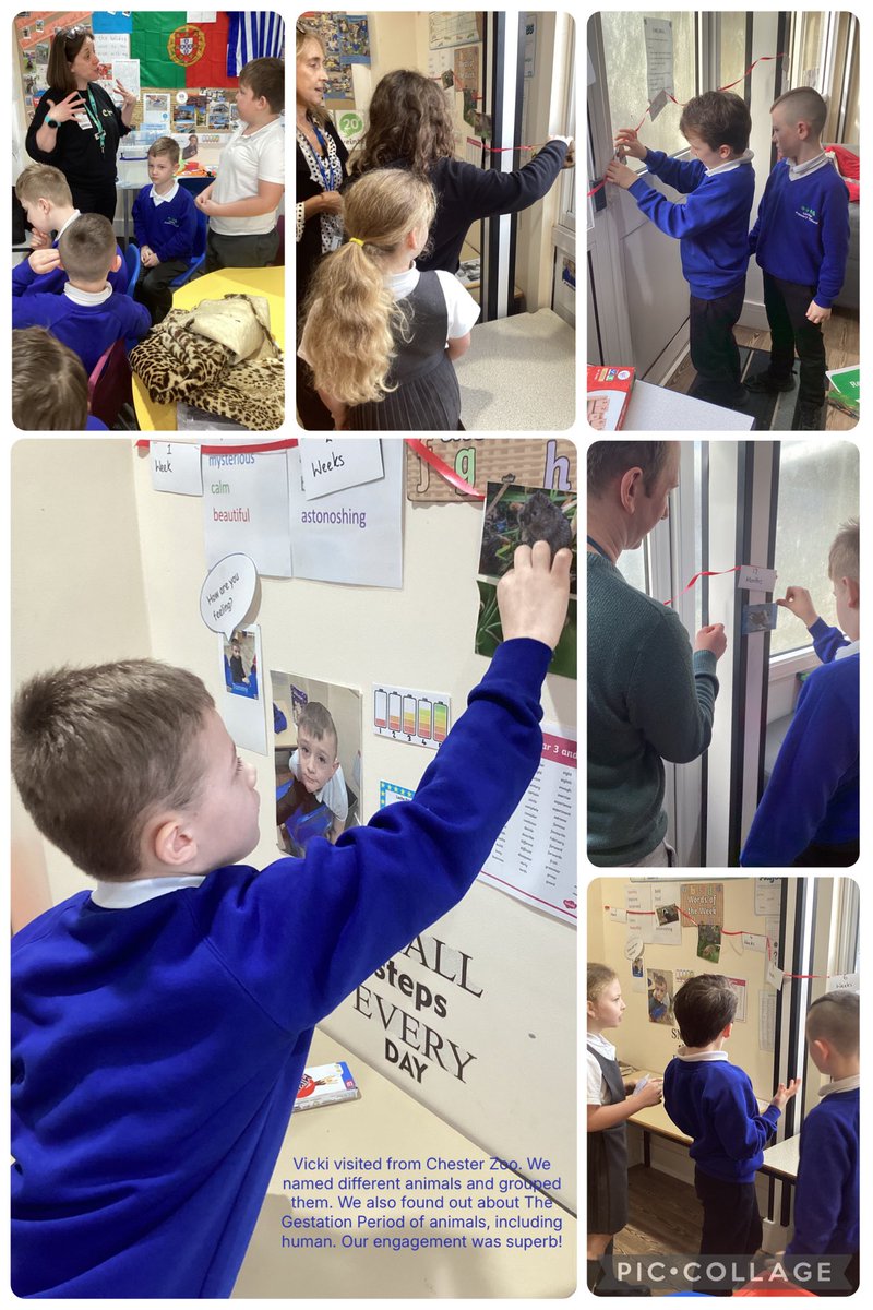 Lache Primary School tweet media