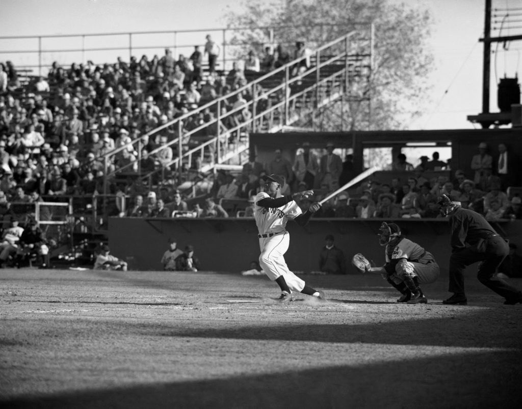 Say Hey Foundation tweet media