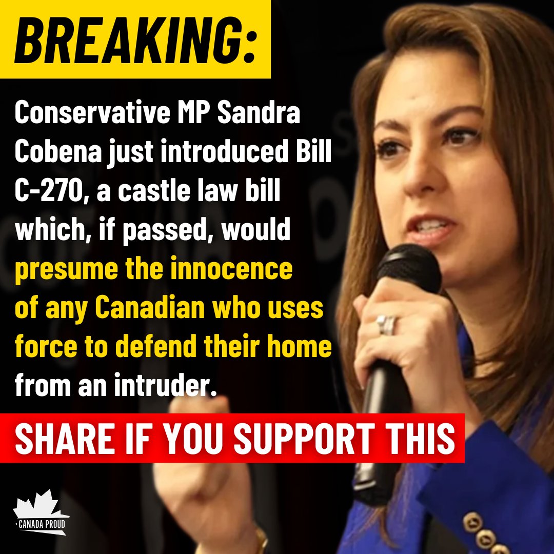 Do you think this would make criminals think twice about invading someone's home?